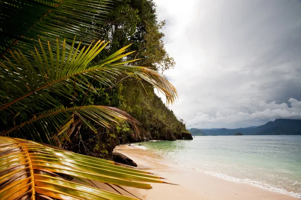Tropical Beach — Stock Photo, Image