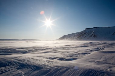 Frozen Arctic Landscape clipart