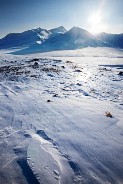 Spitzbergen — Stockfoto
