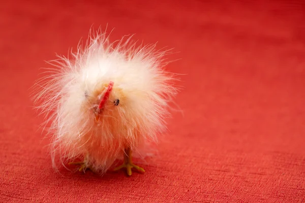 Funny Chicken — Stock Photo, Image