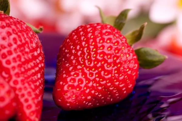 草莓户外 — 图库照片