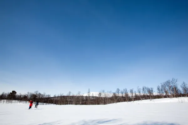 Paysage hivernal avec skieurs — Photo