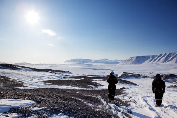 Onvruchtbaar winterlandschap — Stockfoto