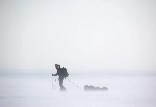 Арктическая экспедиция — стоковое фото