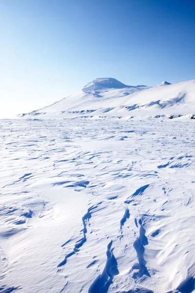 Dondurulmuş deniz — Stok fotoğraf