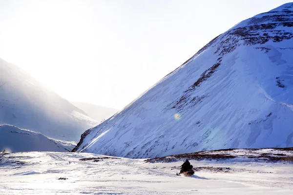 極地探検 — ストック写真
