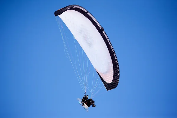 stock image Paraglider