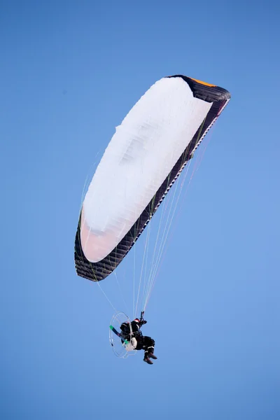 stock image Paraglider