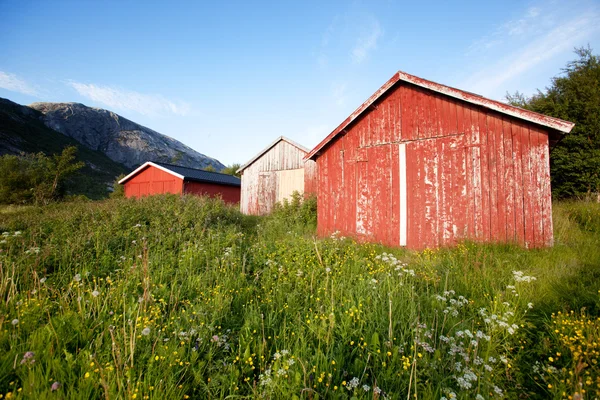 Båt hus Norge — Stockfoto