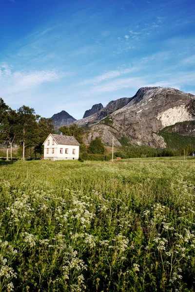 農村のノルウェーの家 — ストック写真
