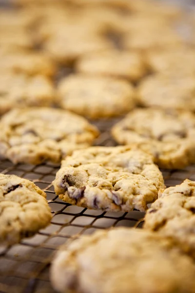 Свіже печиво — стокове фото