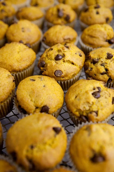 stock image Pumpkin Muffin