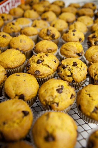 stock image Fresh Muffins