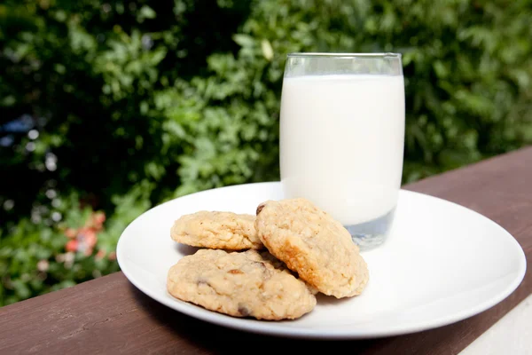 Milk and Cookies — Stock Photo, Image