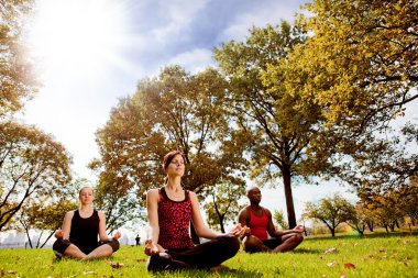 Park Yoga clipart