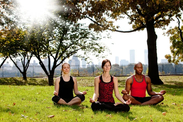 Yoga i park — Stockfoto