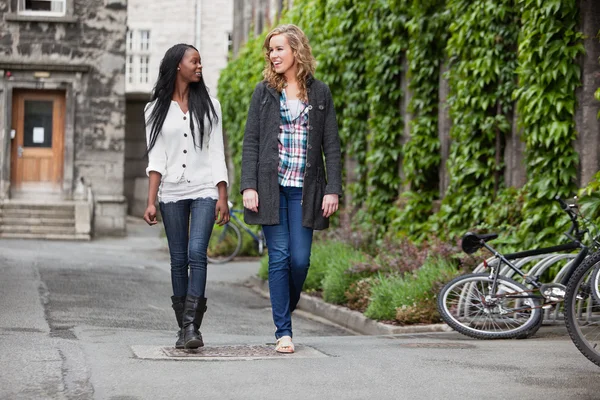 Unga kvinnliga vänner att ha en chatt medan promenader — Stockfoto