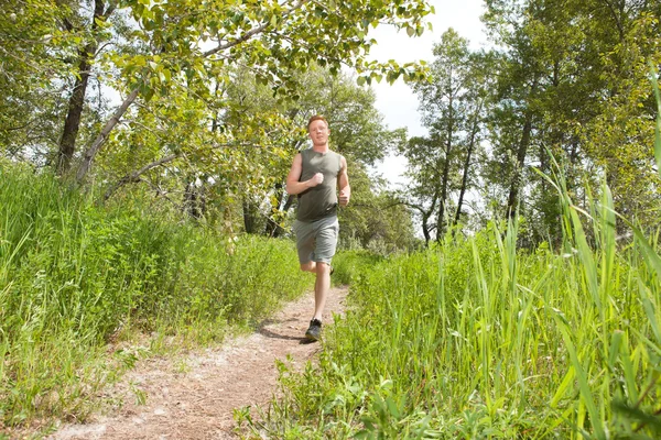 Mann joggt im Wald — Stockfoto