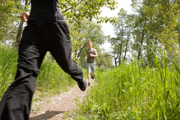 Amici che fanno jogging nella foresta — Foto Stock