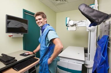 Radiologist examining X-ray of dog's spine clipart