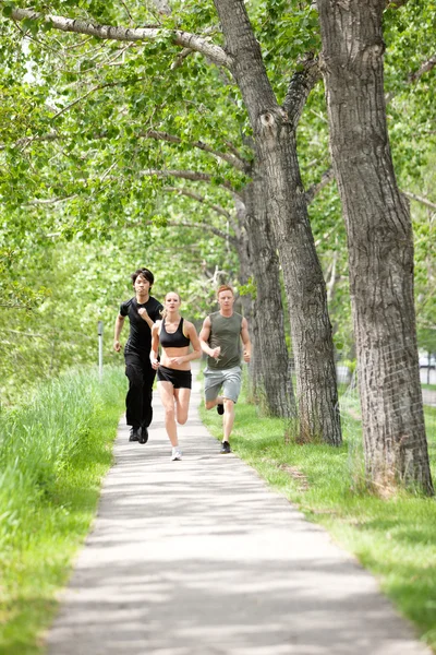 Amici che fanno jogging durante il mattino — Foto Stock