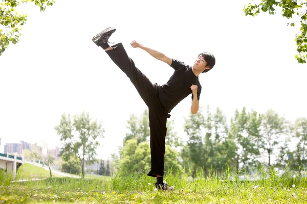 Artista marcial con su patada alta — Foto de Stock