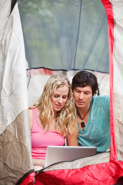 Couple working on laptop while camping — Stock Photo, Image