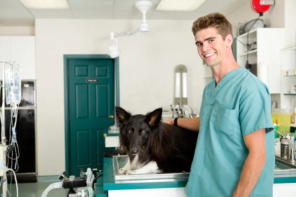 Clínica veterinaria — Foto de Stock
