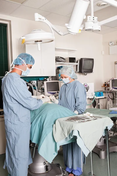 Two surgeons performing operation — Stock Photo, Image