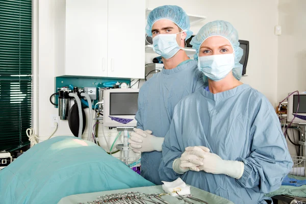 Veterinär kirurgi — Stockfoto