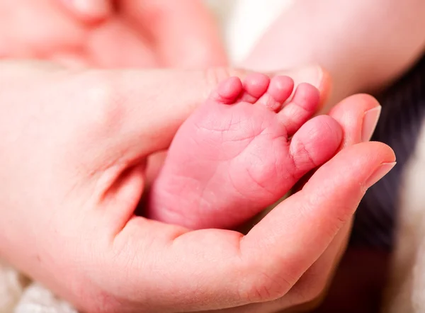 赤ちゃんの足を持っている手 — ストック写真