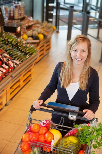 Portrait of woman holding shopping cart — Stockfoto
