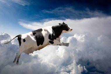 Flying Cow clipart