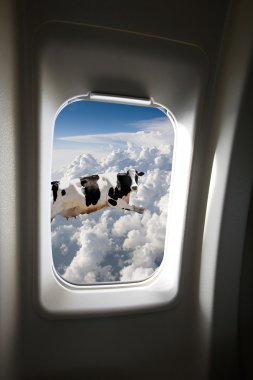 Flying Cow clipart