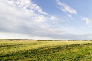 Prairie Sky Landscape clipart