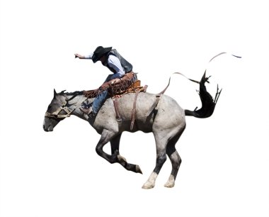 Saddle Bronc with Clipping Path clipart