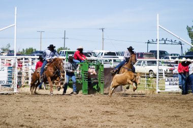 Steer Wrestling clipart