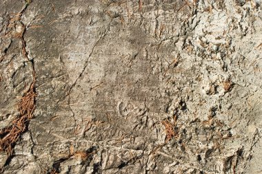 Rock Texture clipart