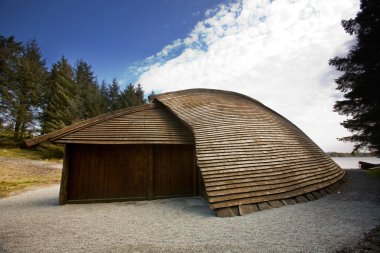 Viking tekne evi