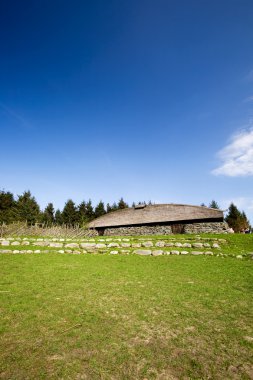 Viking Longhouse