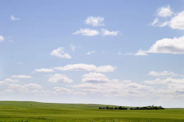 Prairie небо краєвид — стокове фото