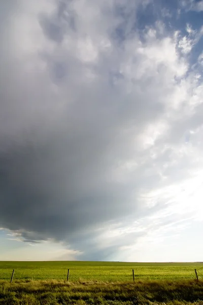 대초원 하늘 풍경 — 스톡 사진