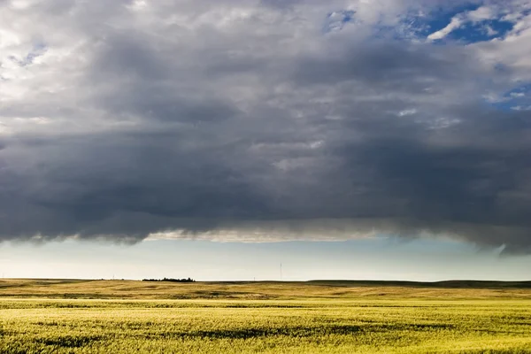 대초원 하늘 풍경 — 스톡 사진