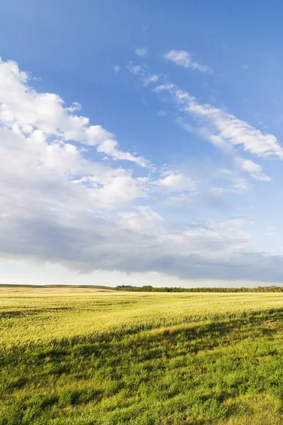 Prairie небо краєвид — стокове фото
