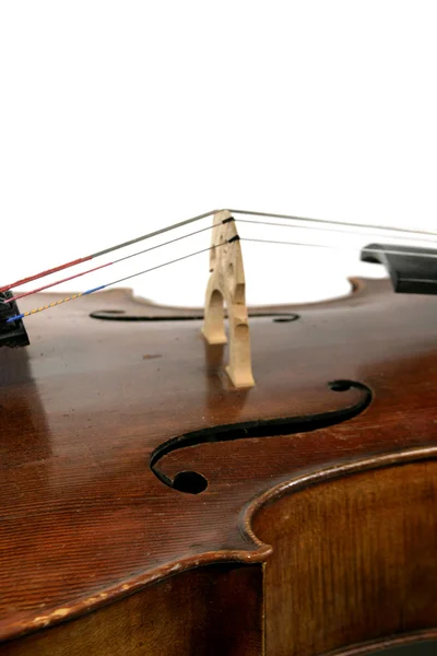 Détail pour violoncelle — Photo