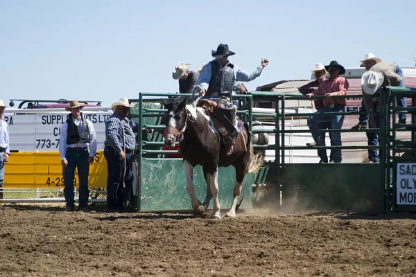 Zadel bronc — Stockfoto