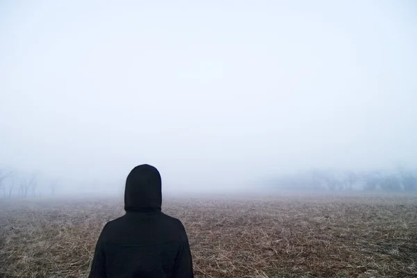 Köd séta — Stock Fotó