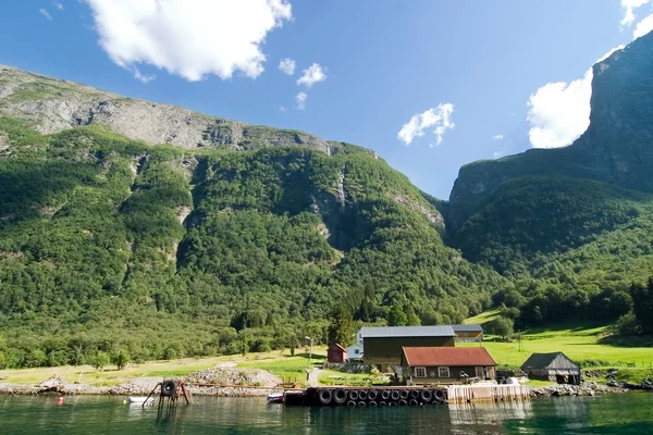 Hegyi fjord farm — Stock Fotó