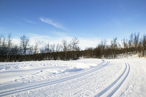 Μονοπάτι σκι διασχίζοντας τη χώρα — Φωτογραφία Αρχείου