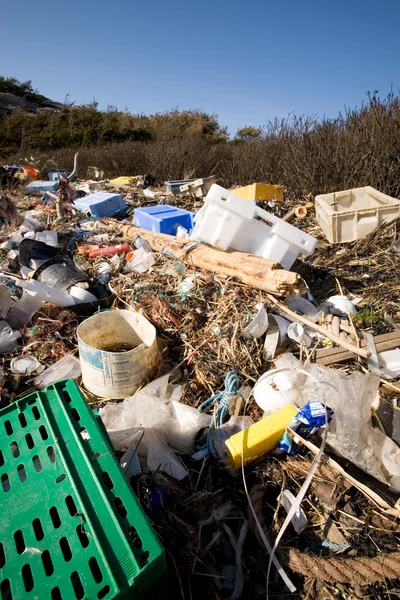 Odpadky na pobřeží oceánu — Stock fotografie